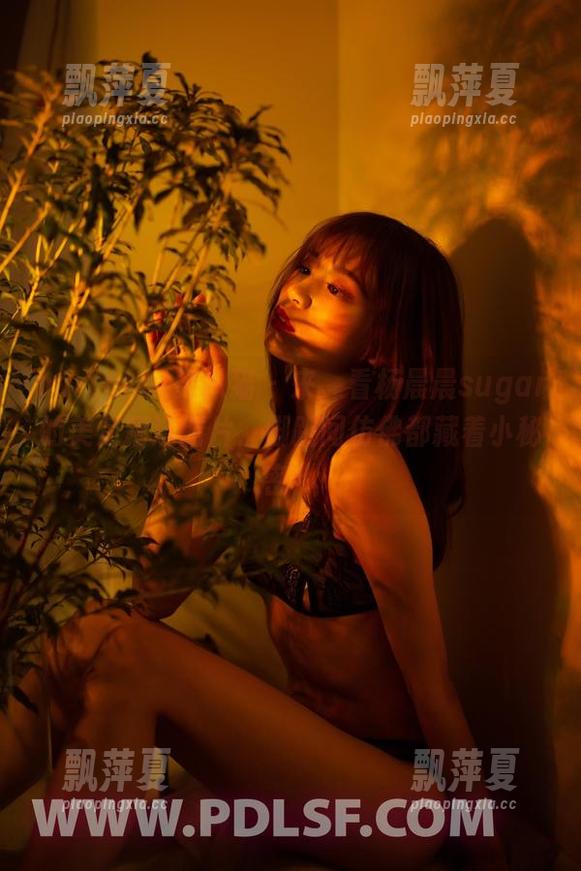 partycat轰趴猫-杨晨晨sugar partycat轰趴猫 - 来,看杨晨晨sugar的美足精选图片,脚趾间仿佛都藏着小秘密!