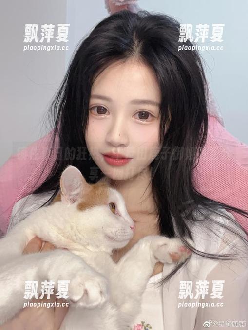 锁住夏日的狂热，千反田鹿子御姐图包分享一网打尽！