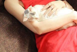 青豆客 – 高溜Milkcat白丝图集最新上线，快来看看她这次又撩到谁了？